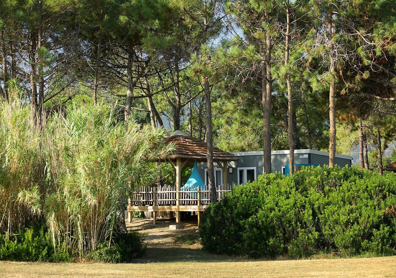 Camping San Damiano Hotel Biguglia  Bagian luar foto